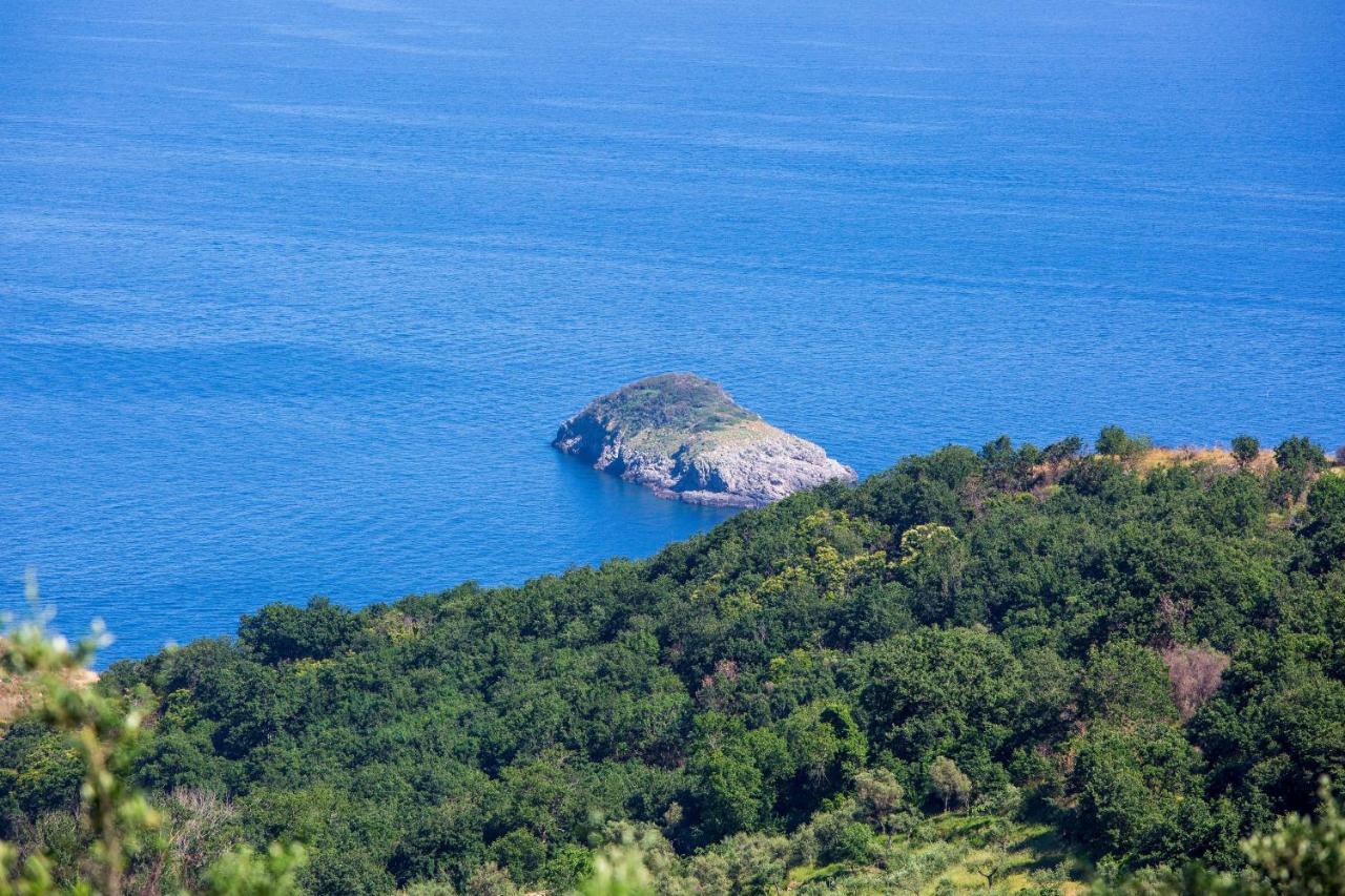 Villa Fedora Sea&Stars Масса-Лубренсе Экстерьер фото