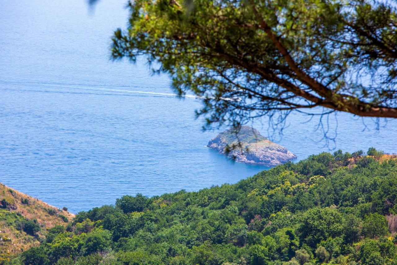 Villa Fedora Sea&Stars Масса-Лубренсе Экстерьер фото